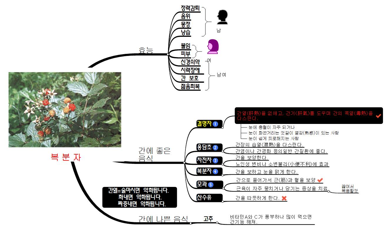 복_분_자 이미지