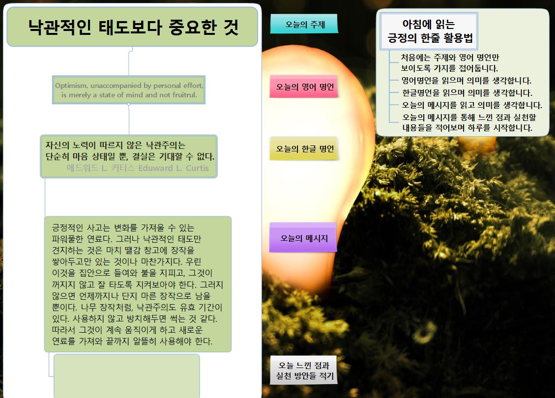 SUN233 긍정의 한줄_낙관적인 태도보다 중요한 것 이미지