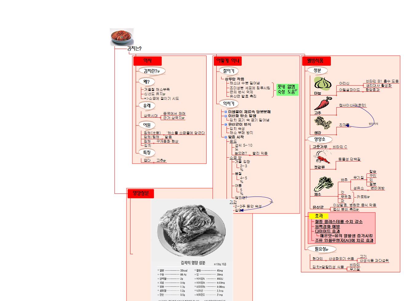 종합_영양제_김치_2005_11_21 이미지
