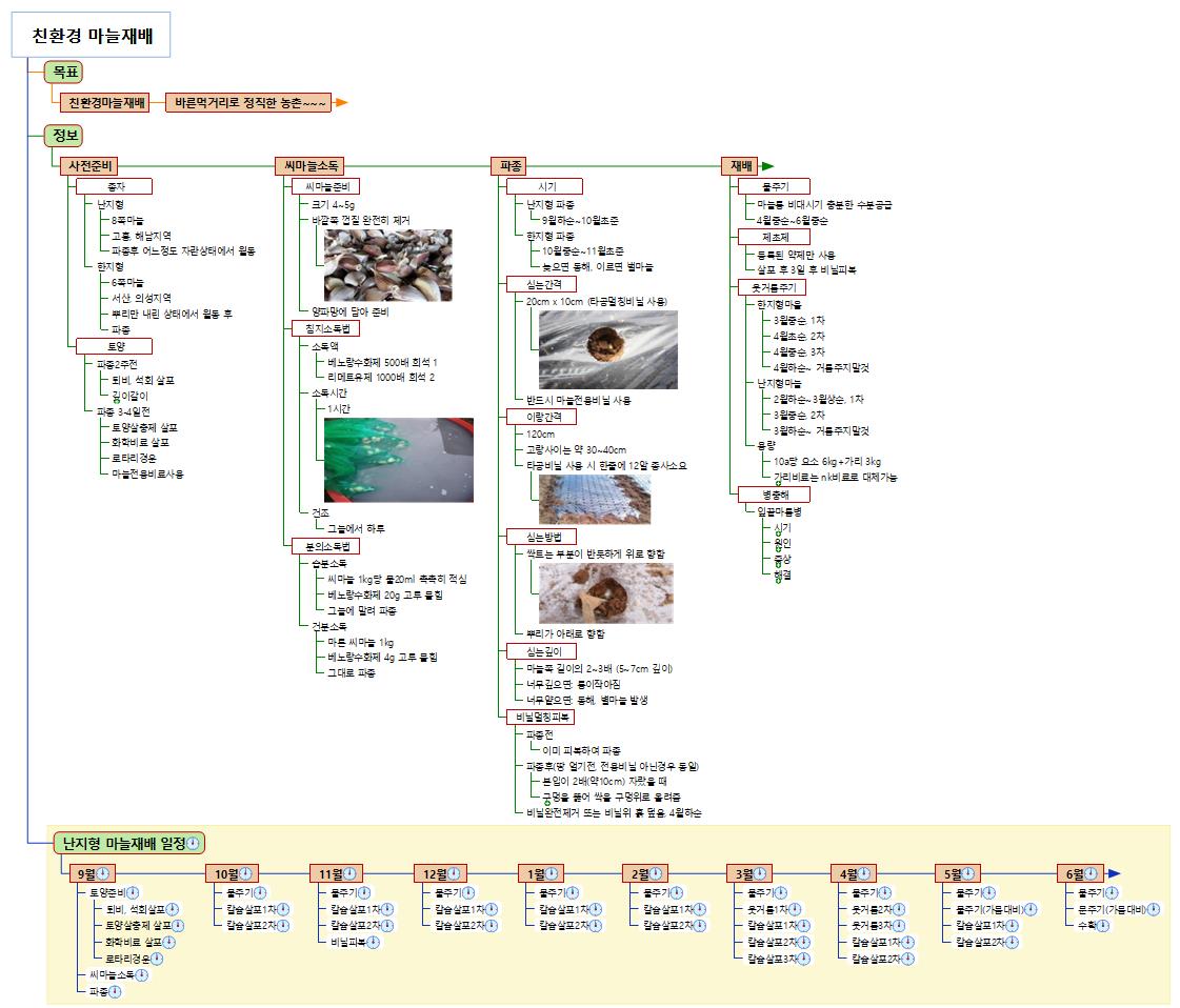 친환경 마늘재배 이미지