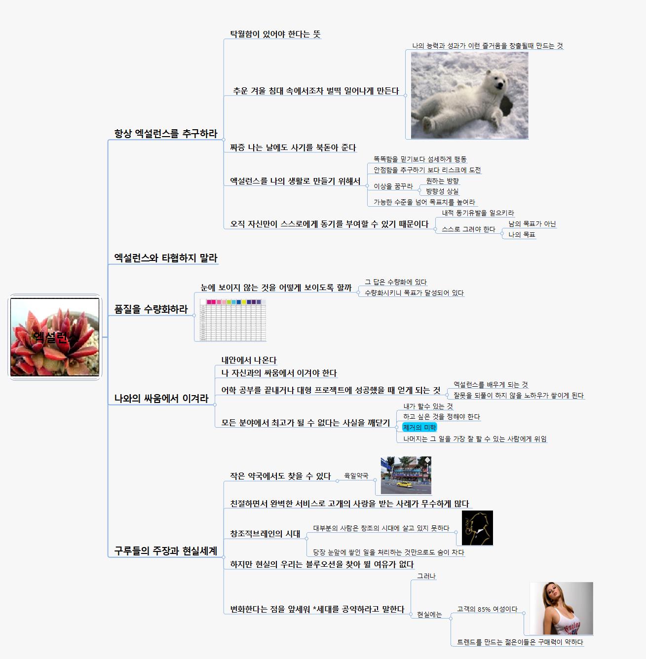 엑설런스 이미지