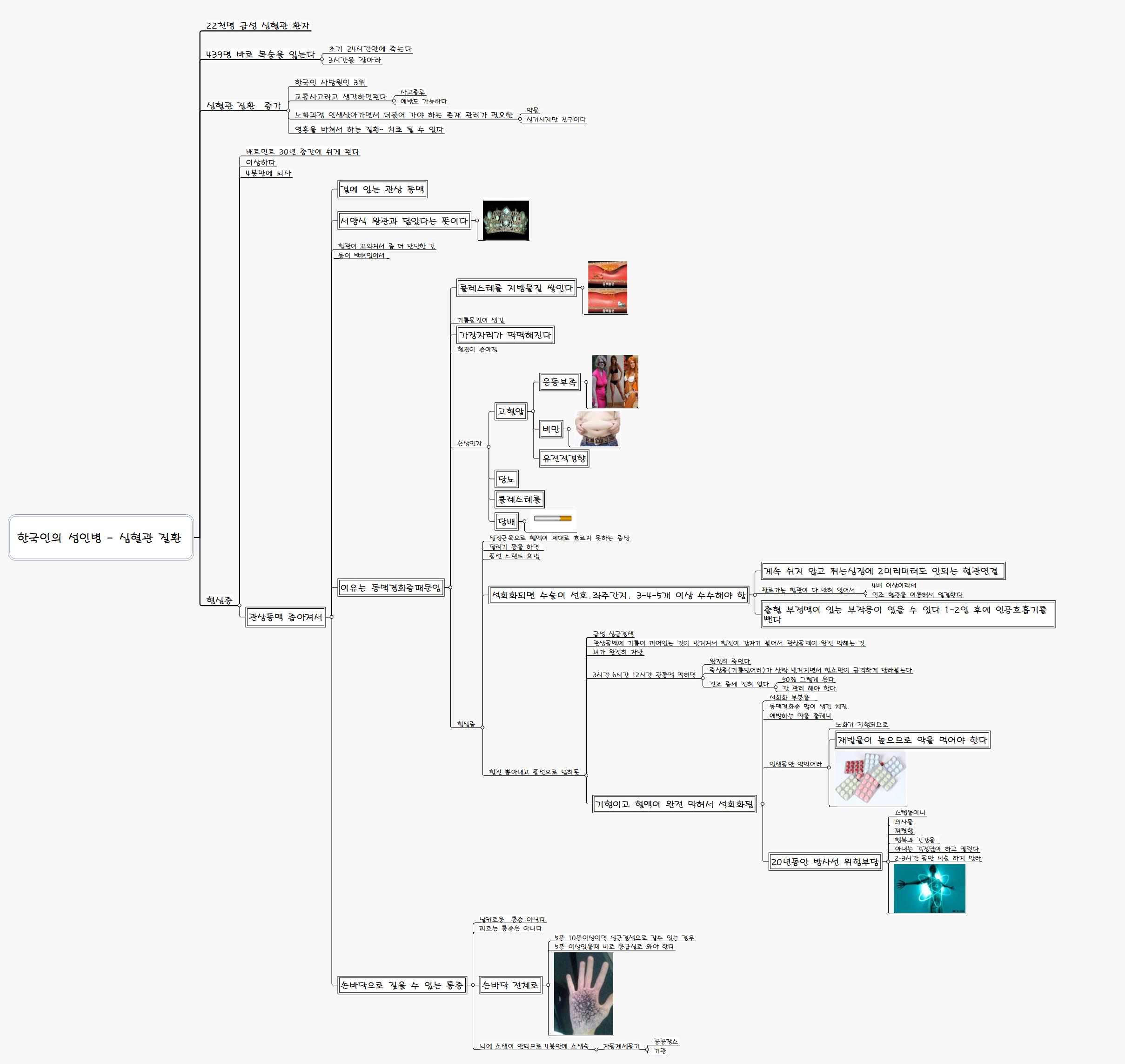 한국인의 성인병   심혈관 질환 이미지
