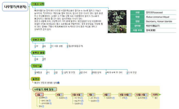 나무딸기 복분자  이미지