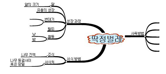 딱정벌레사육 이미지