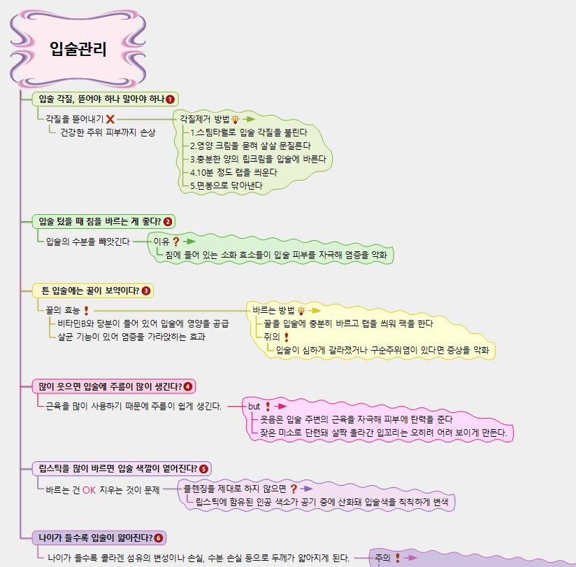 입술관리 이미지