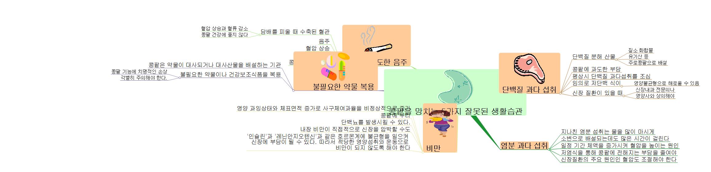 콩팥을 망치는 5가지 잘못된 생활습관 이미지