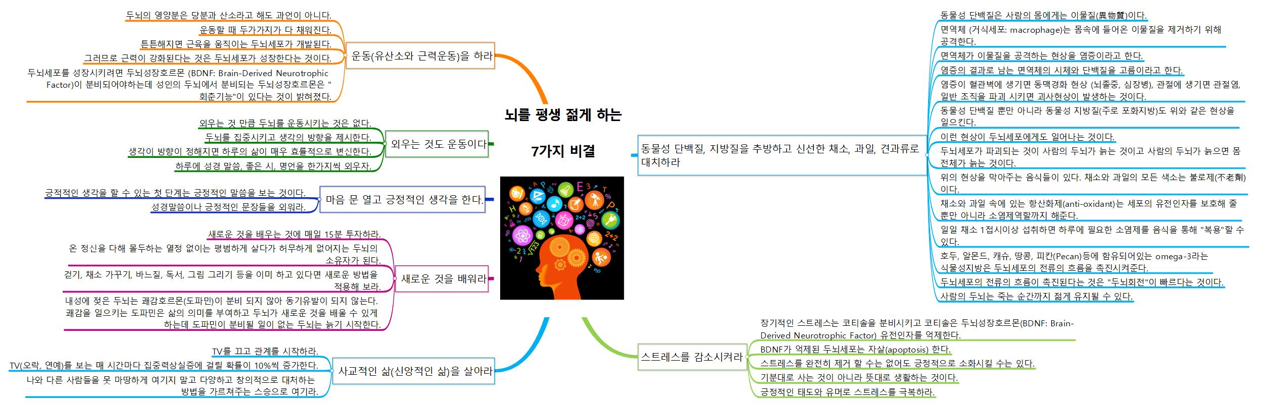 뇌 이미지
