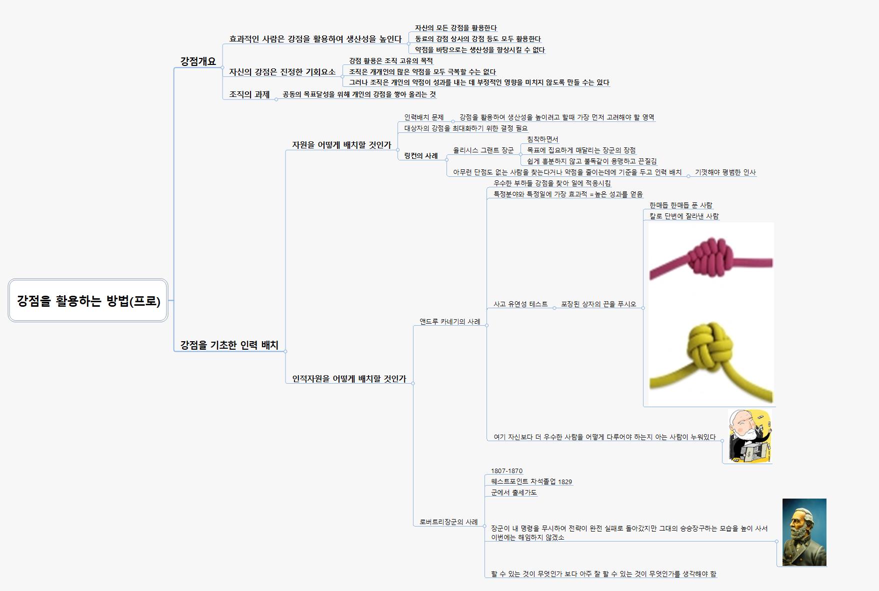 강점을 활용하는 방법 프로 이미지