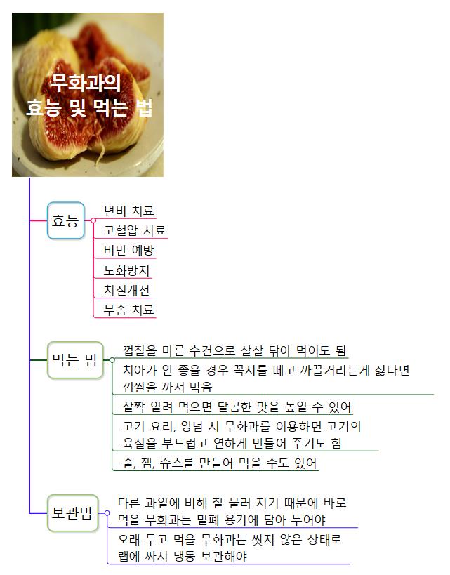 무화과의  효능 및 먹는 법 이미지
