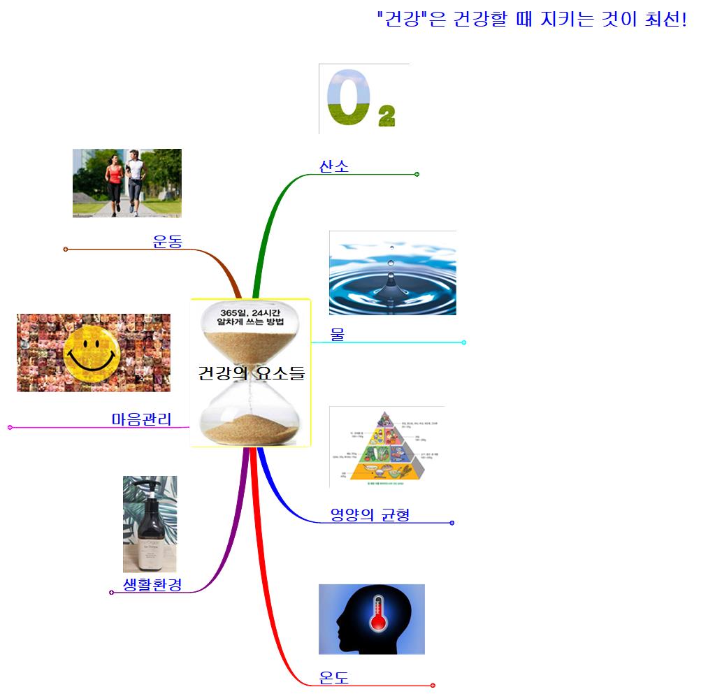 건강의+요소들 이미지