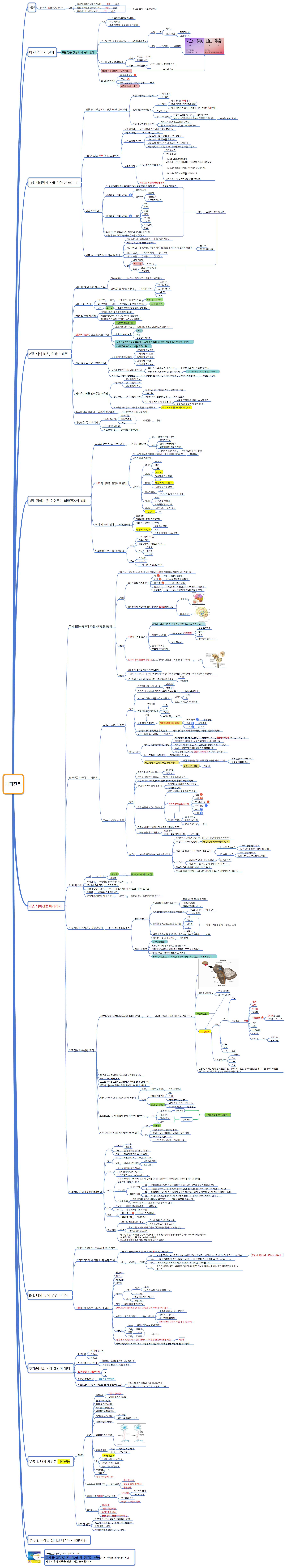 뇌파진동(원하는 것을 이루는 뇌의비밀) 이미지