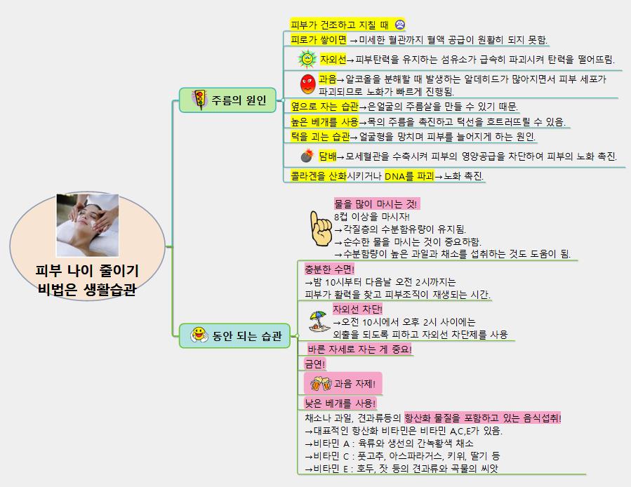 피부나이줄이기비법 이미지
