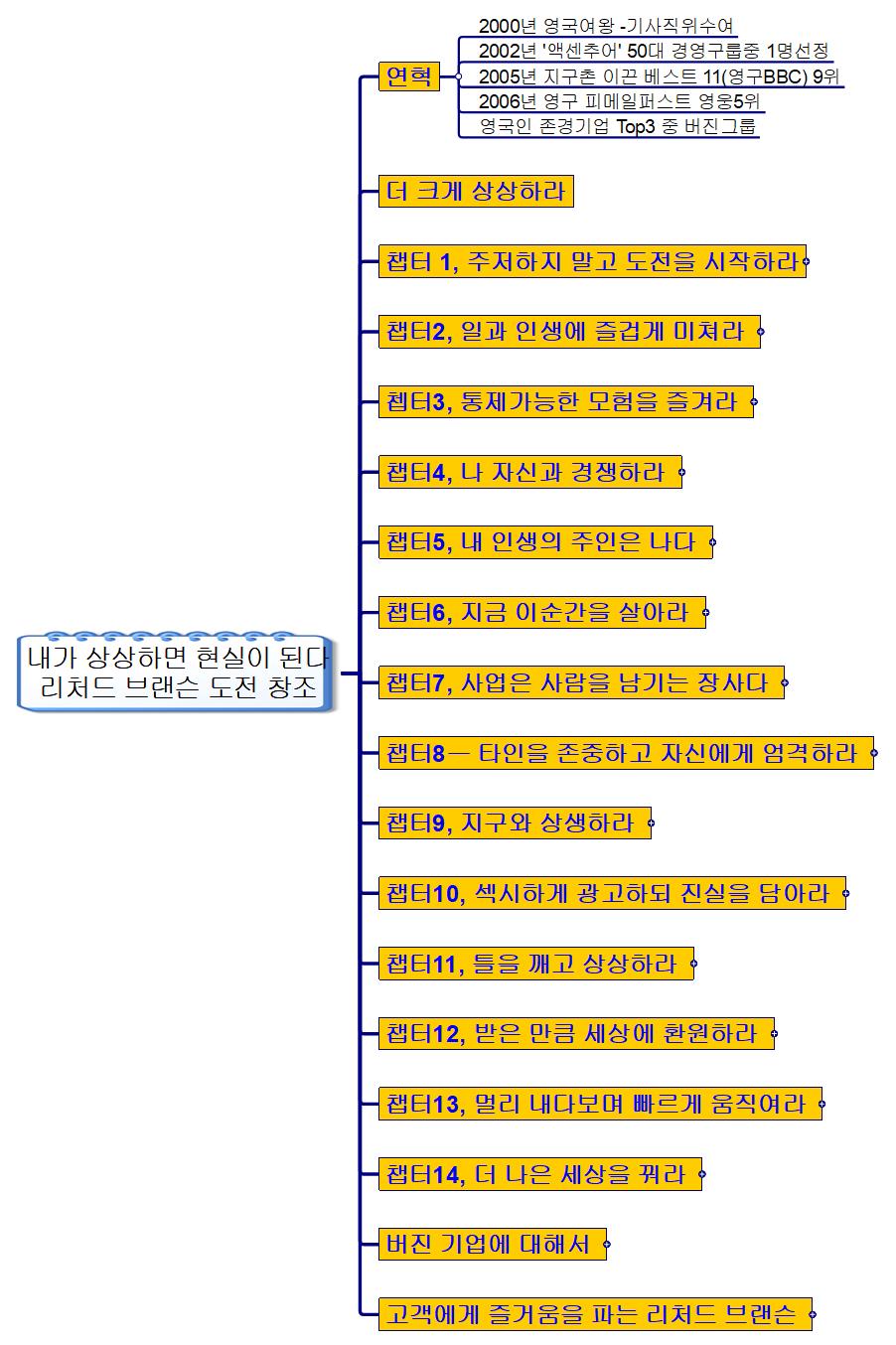 내가 상상하면 현실이 된다 리처드 브랜슨 도전 창조 이미지