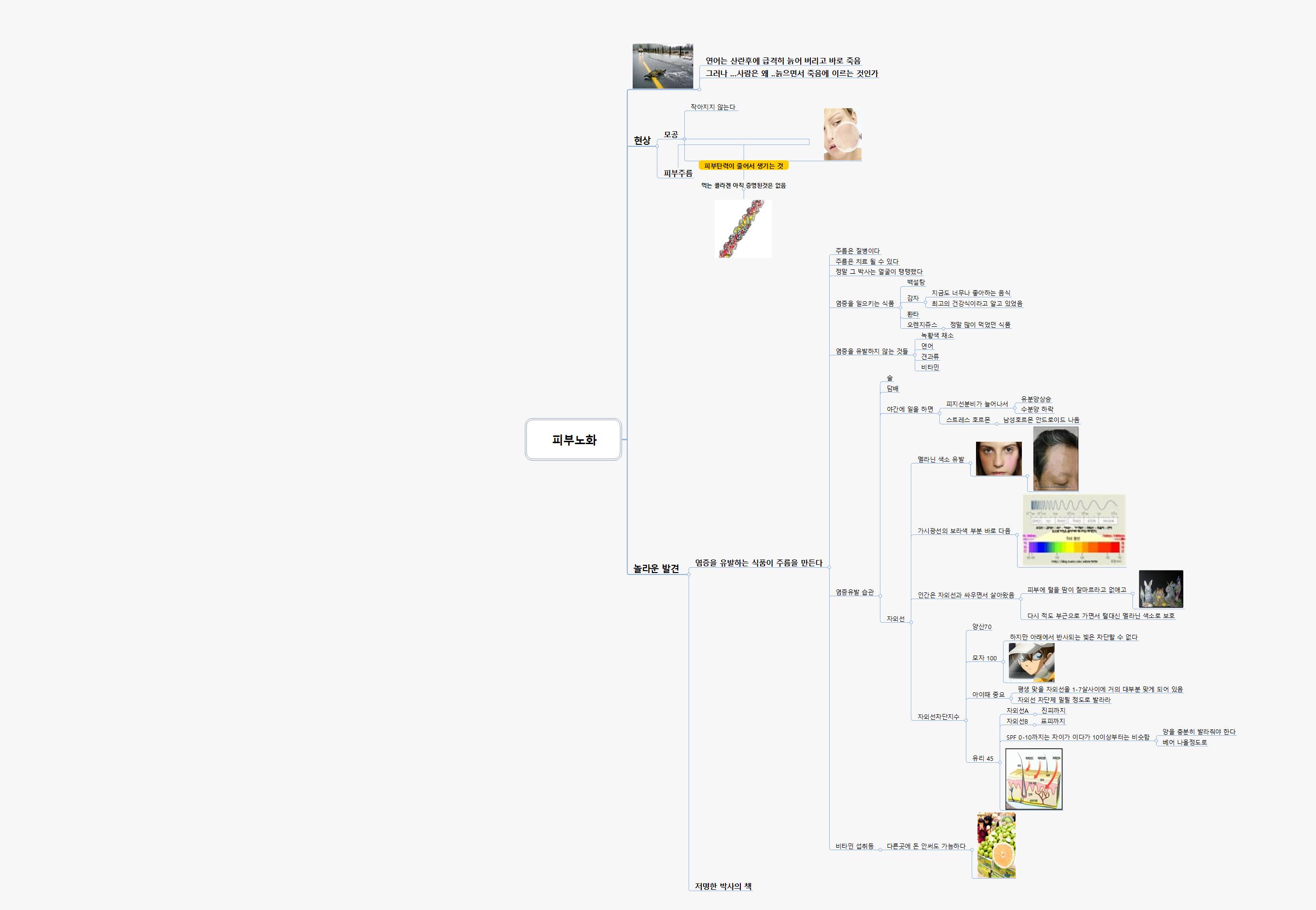피부노화 이미지
