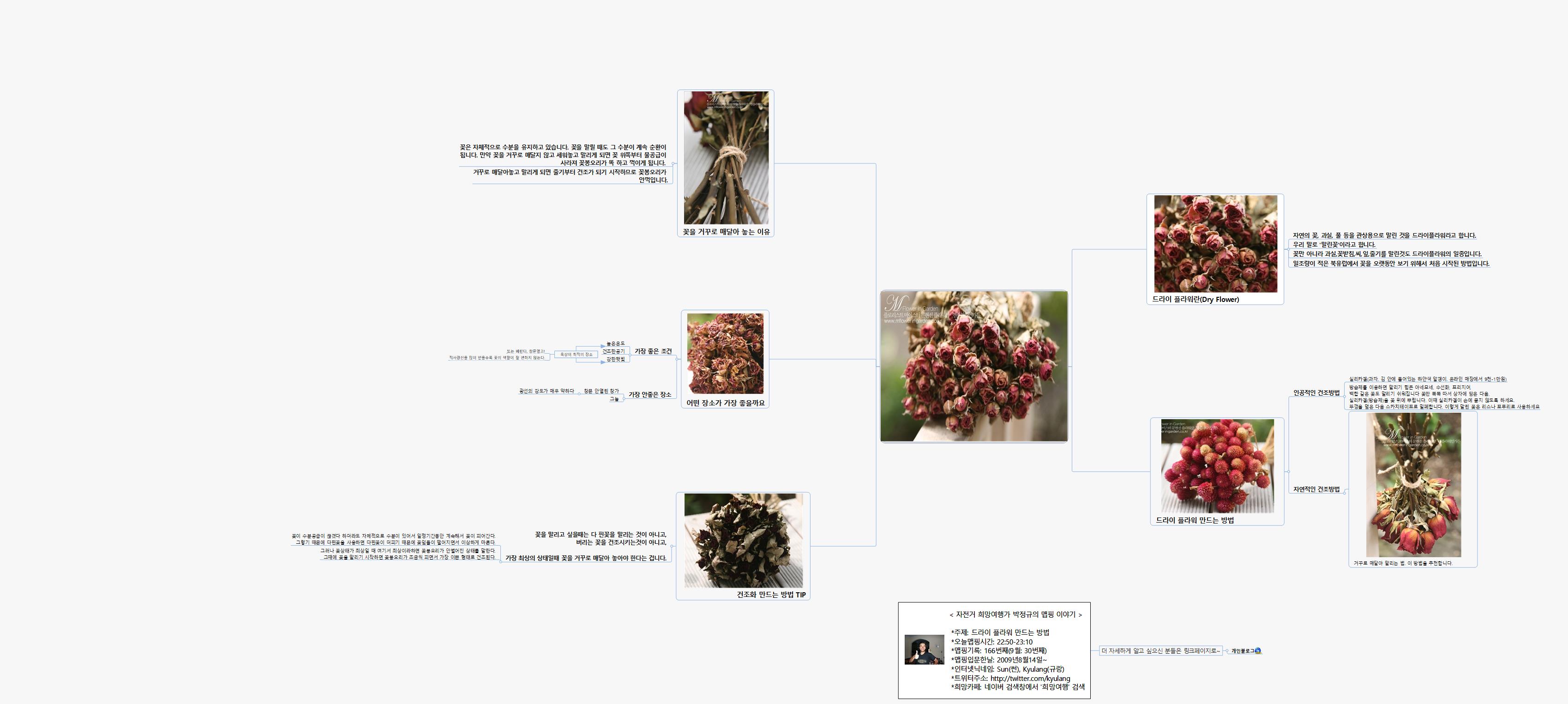 SUN166 181 드라이 플라워 만드는 방법 이미지