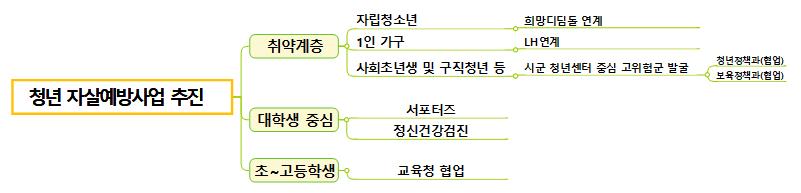 청년 자살예방사업 추진_마인드맵 이미지