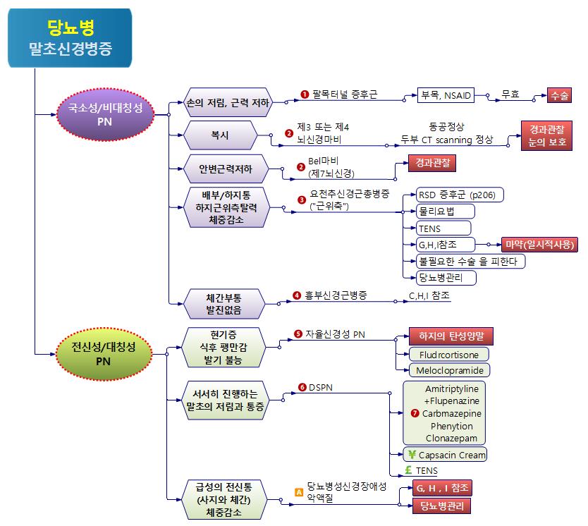 의학진단-당뇨병 말초신경병증 이미지