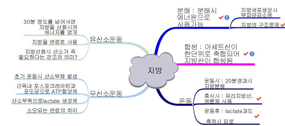 지방 이미지