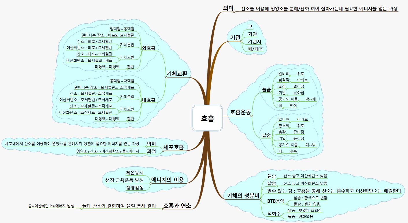 호흡 이미지