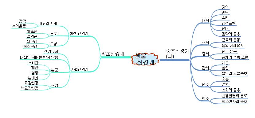 생물-신경계 이미지