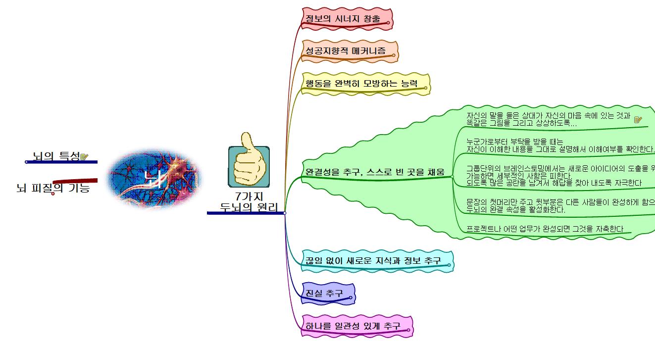 두뇌 이미지