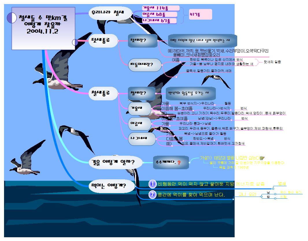 철새들은 수만Km길 어떻게 찾을까 이미지