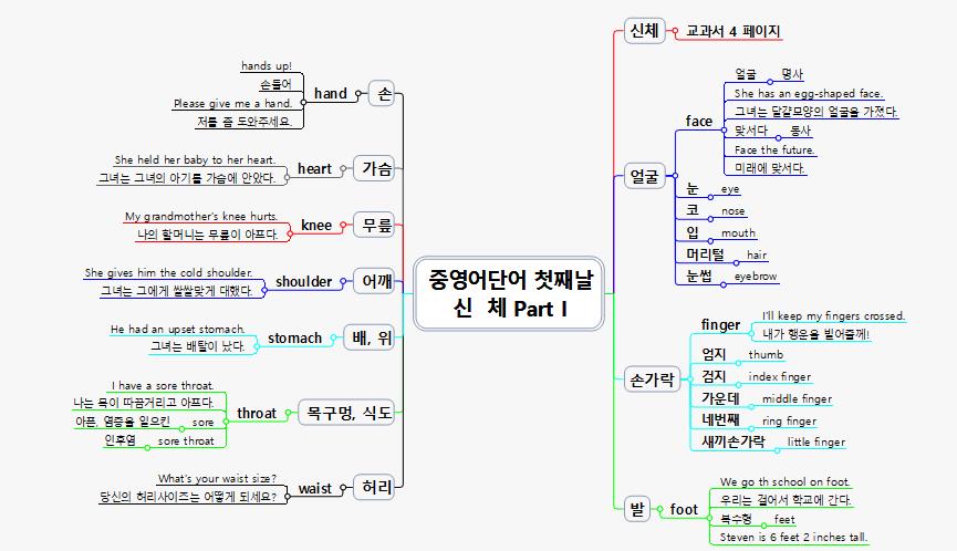 중영어단어-1 이미지