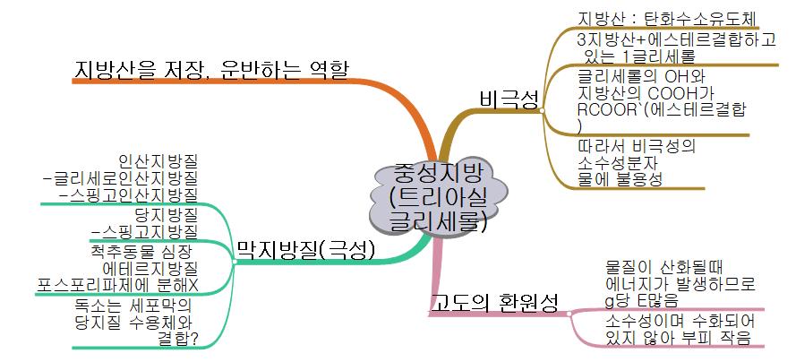 중성지방  트리아실 글리세롤 이미지