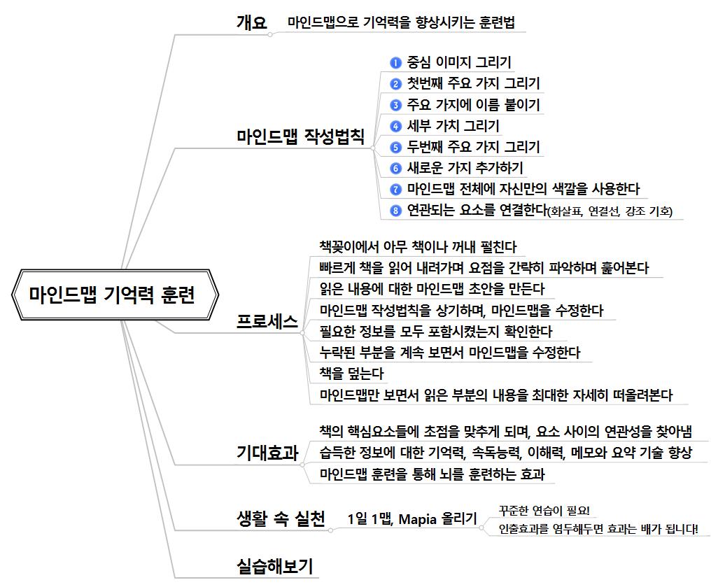 [브레인피트니스맵(Brain Fitness X MAP) #9] 기억력 훈련 이미지