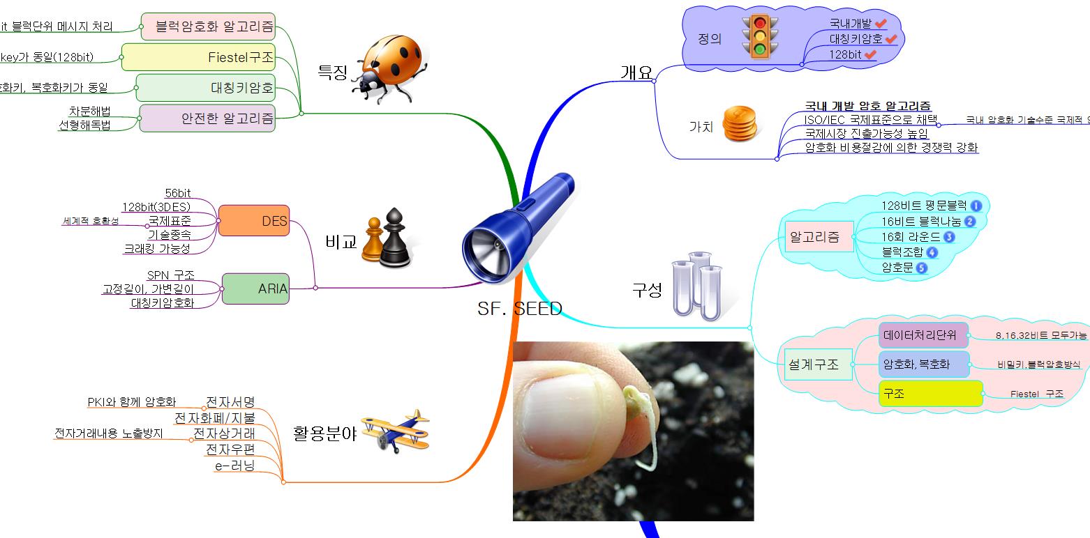 SF.SEED 이미지
