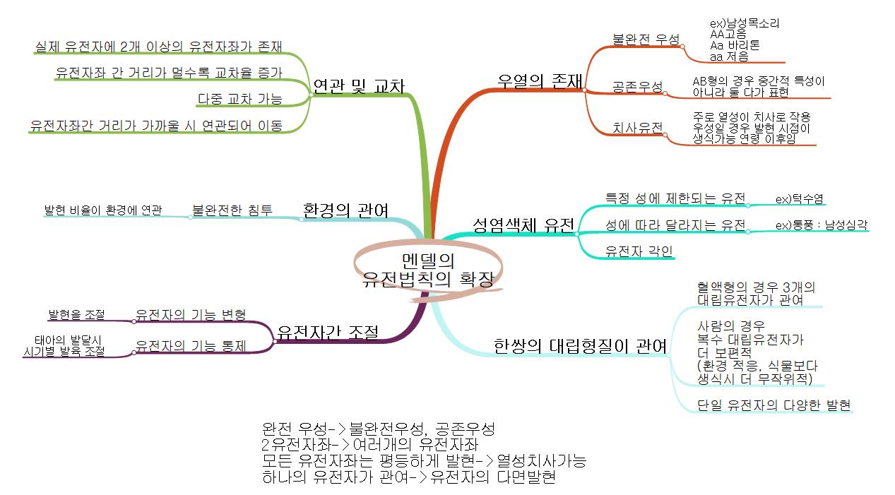멘델의 유전법칙의 확장 이미지