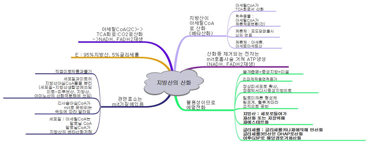 지방산의 산화 이미지