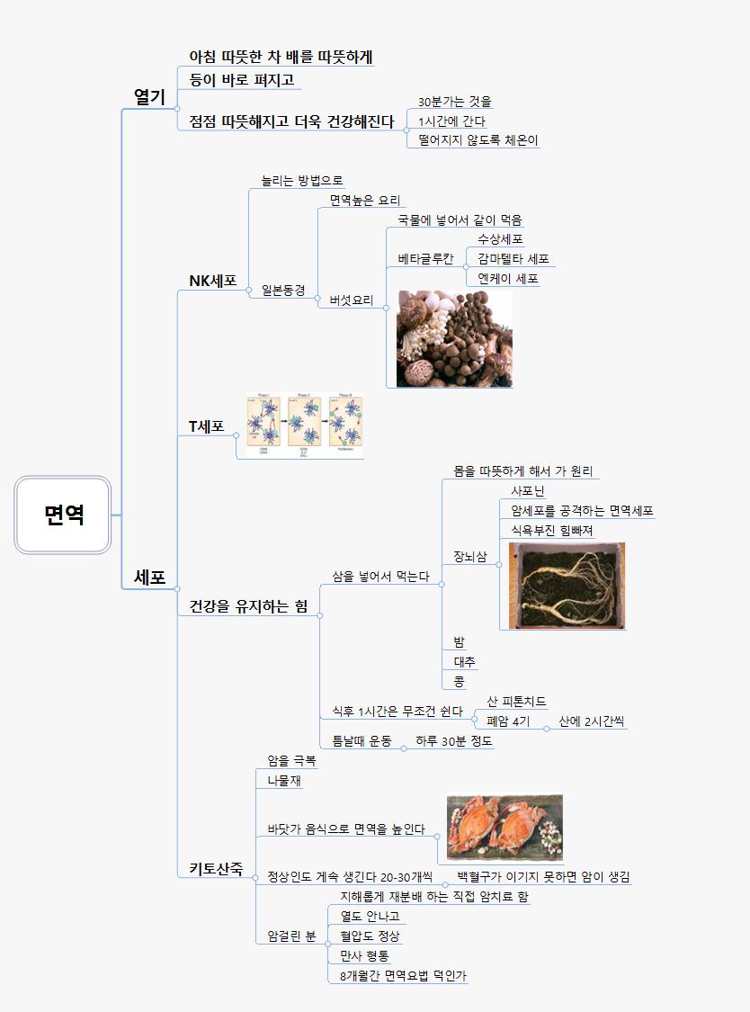 면역 이미지