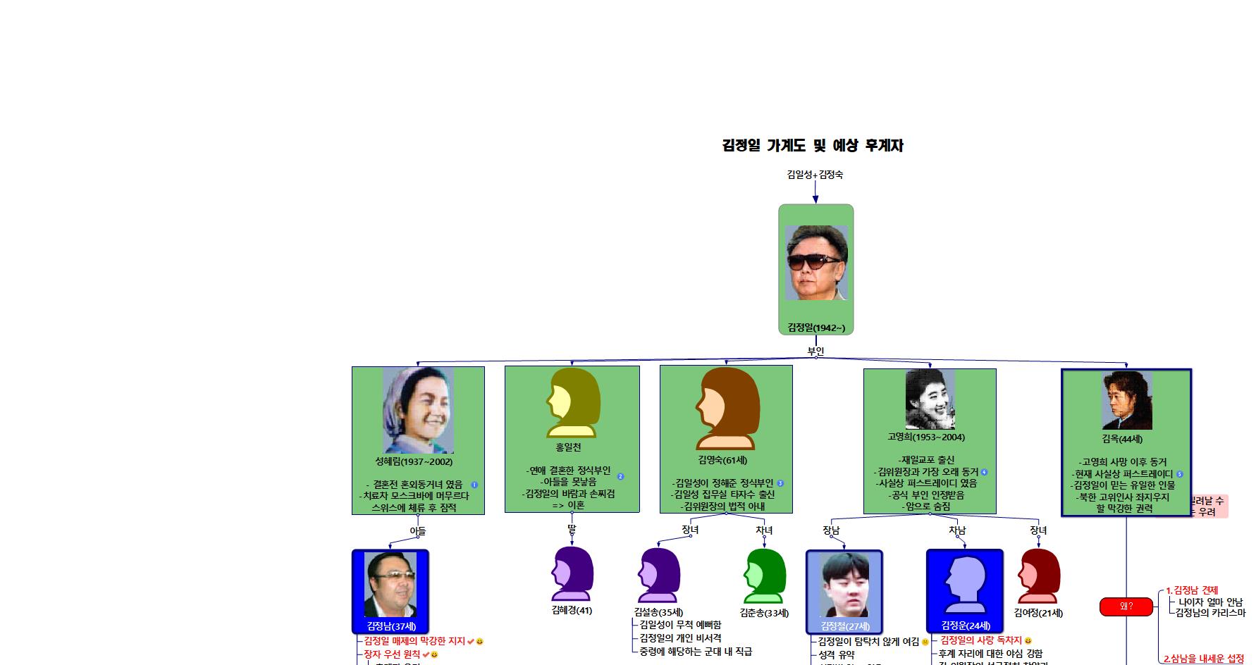 김정일 가계도 및 예상 후계자 이미지