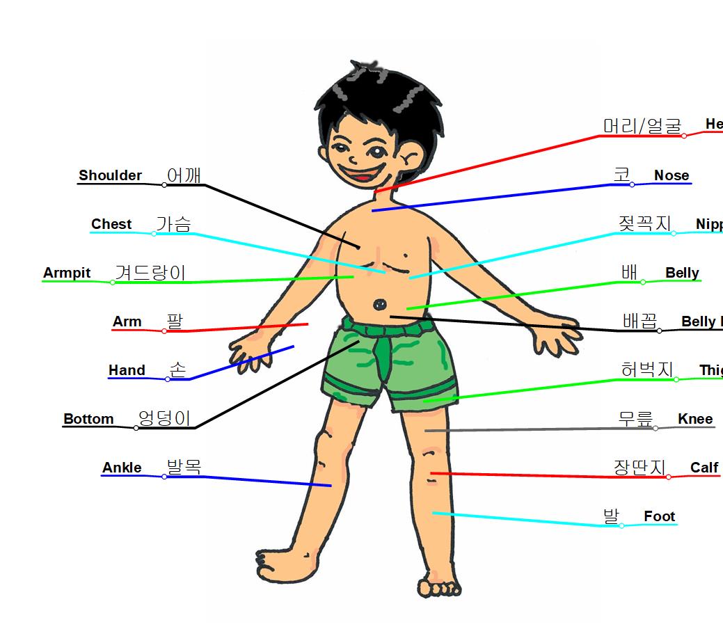 BODY_마인드스케이핑 이미지